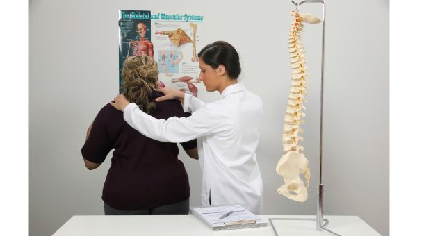 What Is A Chiropractor?