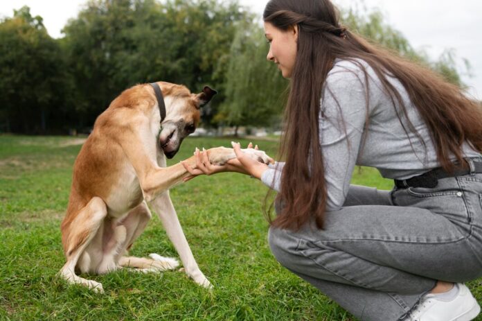 Behind Canine Bites