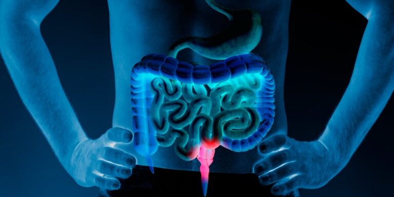 Stomach
